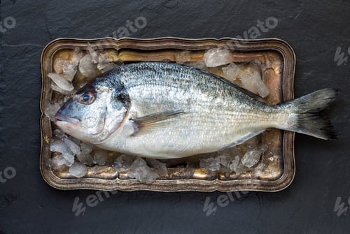 Preview: Fresh dorado fish