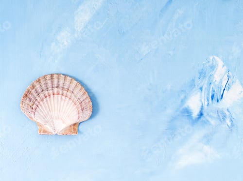 Preview: Single big seashell on blue stone background, scallop shell, copy space.
