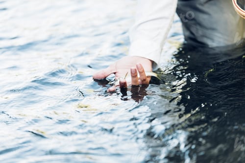 Preview: Hand with caught fish.