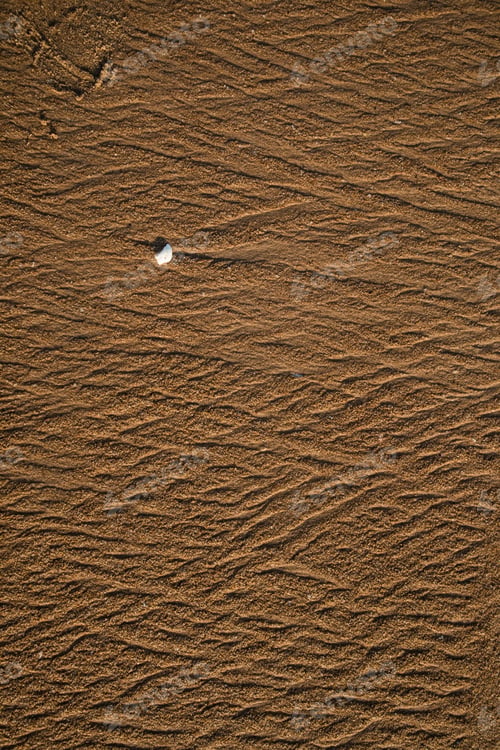 Preview: A minimalistic picture from the puri sea beach with golden wavy sands.