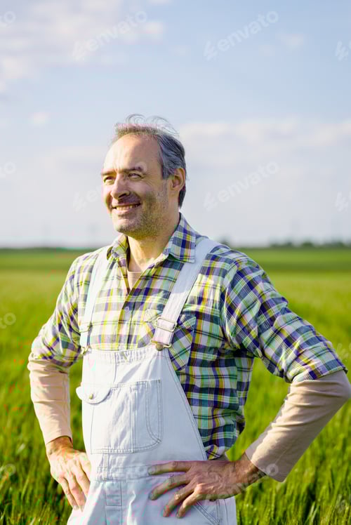 Vista previa: Retrato de un granjero adulto de pie en un campo de trigo verde.