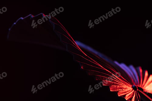 Preview: toned image of beautiful tropical leaf with red lighting isolated on black