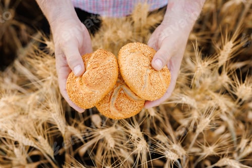 Preview: A close-up of hands holding freshly baked bread, representing the rural pleasure of bread