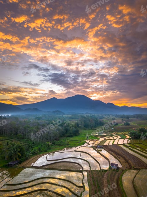Preview: Beautiful morning view indonesia panorama landscape paddy fields
