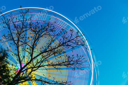 Preview: Tree Branches Against Backdrop Of Bright Spinning Ferris Wheel A
