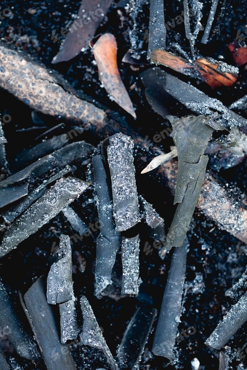 Preview: Vertical closeup of a pile of wood ash.
