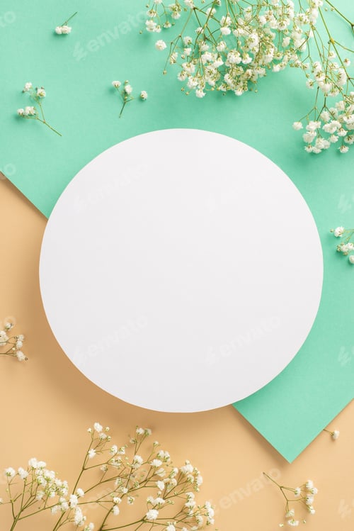 Preview: Tender natural beauty concept. Top view photo of blank circle surrounded by white gypsophila flowers