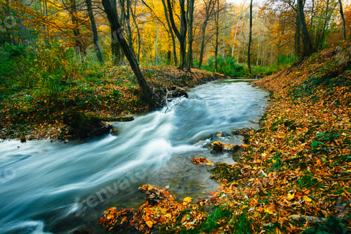 Preview: Autumn flowing stream