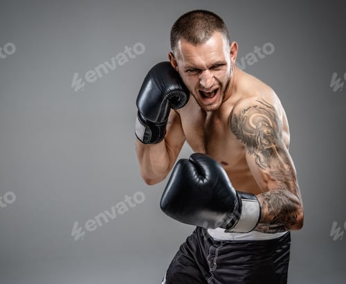 Preview: Tattooed fighter isolated on a grey background.