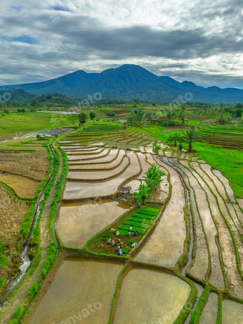 Preview: Beautiful morning view in Indonesia, panoramic landscape
