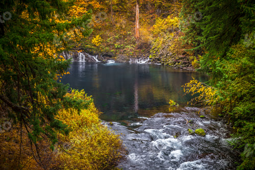 Preview: Tamolitch Blue Pool At Mc Kenzie Pass In Oregon