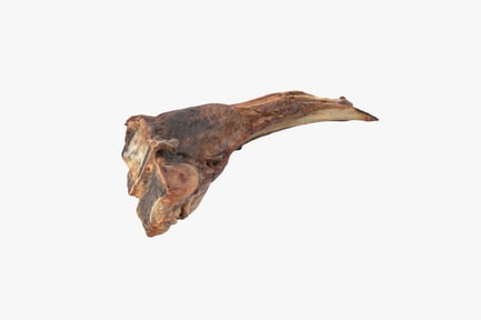 Preview: Cooked Lamb Cutlet with Rib Bone