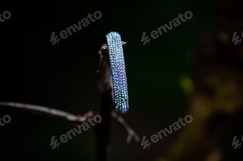 Preview: Bangles Bracelets Ornaments Silver Bridal Brides Accessories