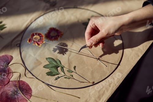 Preview: Flourist shop with different kinds of dryed flowers