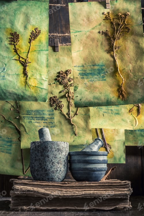 Preview: Extraordinary herbal workshop with dried cards descriptions