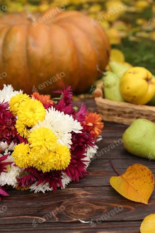 Preview: Composition with beautiful chrysanthemum flowers on wooden board outdoors