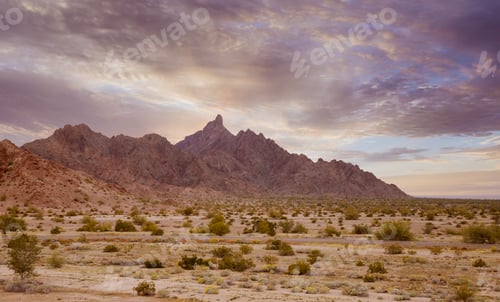 Preview: Beautiful panoramic desert landscape wilderness, near Phoenix Arizona