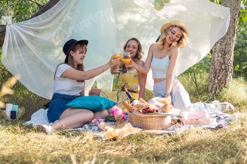 Preview: Group of girls friends making picnic outdoor. They have fun