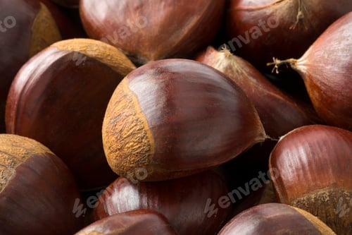 Preview: Fresh sweet chestnuts close up