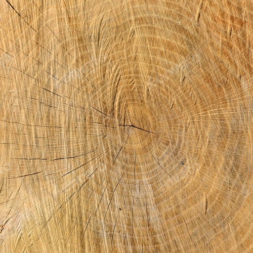 Preview: Wood texture of tree stump with cracks in brown tone for backgro