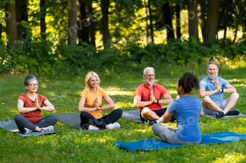Preview: Group of senior people attending yoga class with instructor outdoors