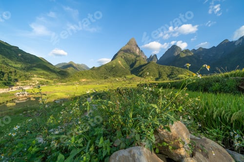 Preview: Paddy rice terraces, green agricultural fields in countryside of mountain hills valley, Vietnam.