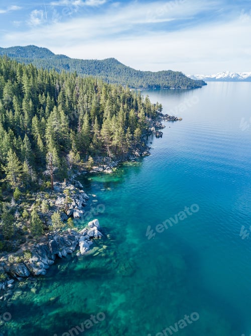 Preview: Beautiful high angle of the lake Tahoe under a dense pine tree forest on a sunny day