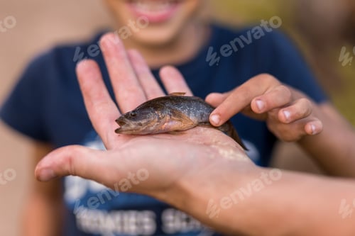 Preview: a boy of 6-7 years old rejoices at a fish caught on the lake