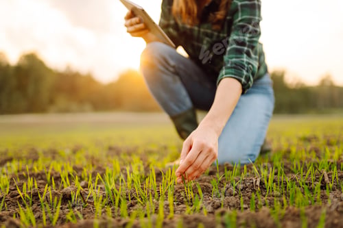 Preview: Farmer woman in boots checks the quality of the soil before sowing in her hands with digital tablet.