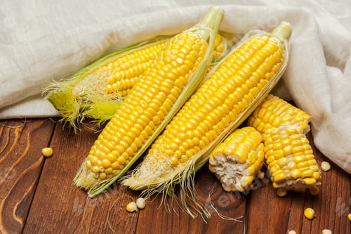 Preview: Fresh Yellow Corn Cobs on Wooden Table