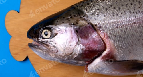 Preview: Fresh whole rainbow trout on wooden board.