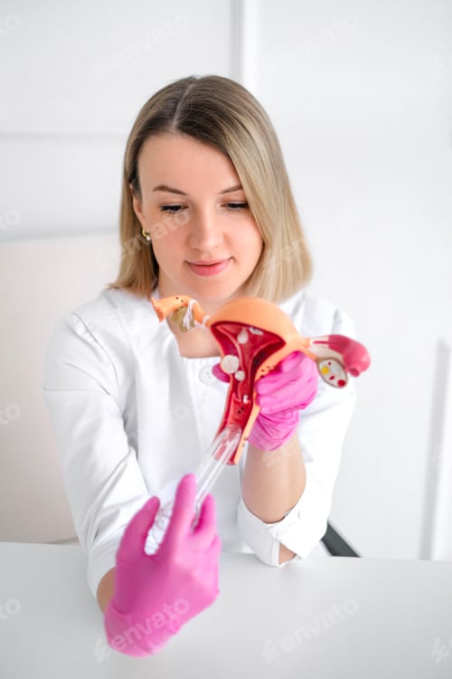 Preview: Female Doctor Examines Anatomical Model in Clinic