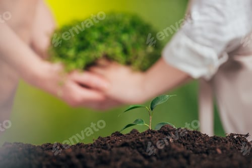 Preview: selective focus of growing young plant, and woman and child holding plant on blurred background,