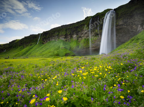 Preview: A waterfall cascade over a sheer cliff and wildflower meadodwos.