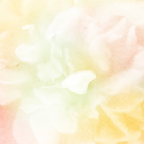 Preview: Sweet Color Roses On Mulberry Paper Texture For Background