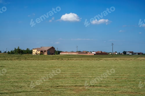 Preview: Country landscape near Fidenza, Emilia Romagna, Italy