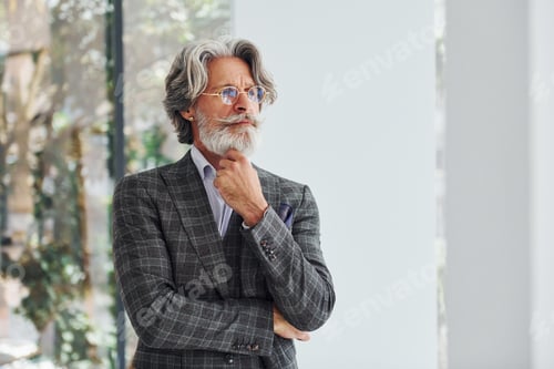 Preview: Businessman in the office. Senior stylish modern man with grey hair and beard indoors