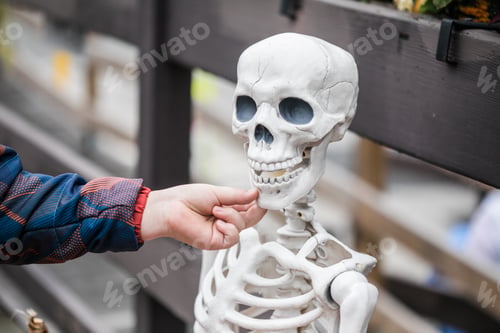 Preview: Smiling boy touching teeth you skeleton during Halloween
teeth