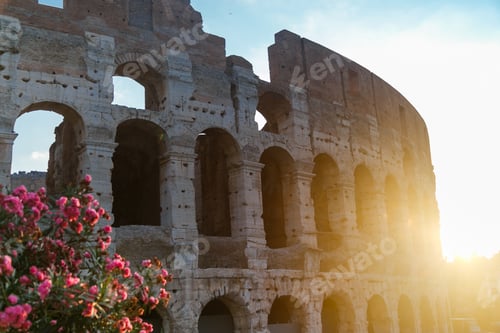 Preview: Colosseum in Rome, Italy during sunrise. Rome architecture and landmark