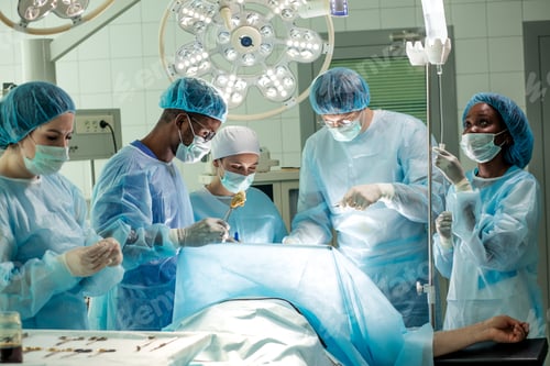 Preview: clever doctors examine the structure of body