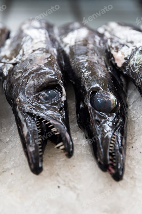 Preview: Espada fish on traditional fish market in Funchal at Madeira island, Portugal