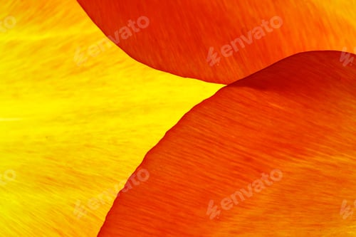 Preview: Abstract Floral Petals of Yellow and Orange