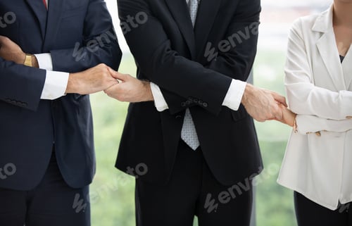 Preview: Group of Business People Diverse Meeting and Working in the Office, Seminar Concept