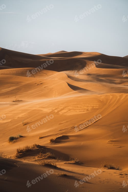 Preview: Sand texture in Morocco Sahara Merzouga Desert portrait oriented