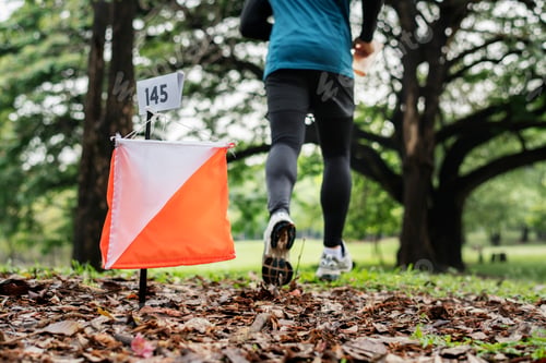 Preview: Outdoor orienteering check point activity