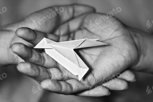 Preview: Paper pigeon lies in the man's palms