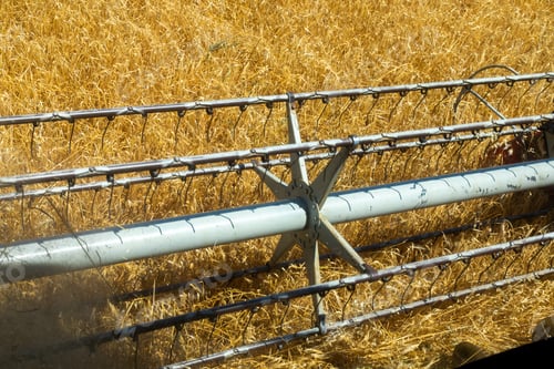 Preview: Close up of combine harvester conveyer working on a field