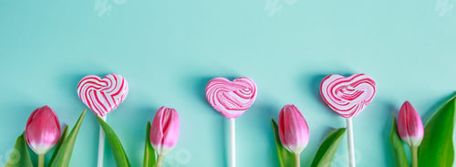 Preview: Pink tulips and lolipop in shape of heart on blue background. Valentine's day concept, banner format