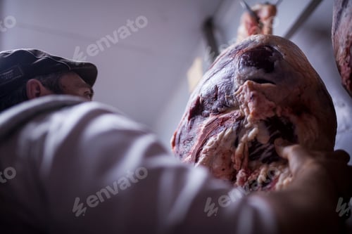 Preview: David fuentes butcher shop 022