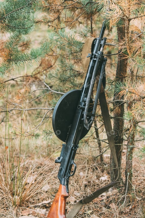 Preview: Old Soviet Russian DP Machine Gun Of World War II Leaning Against Trunk Of Tree. Weapon Of Red Army
